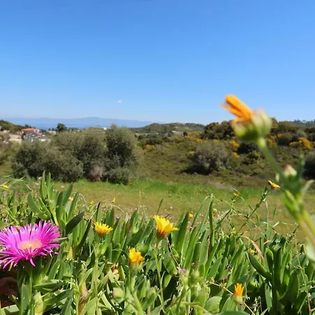 Hilltop 3